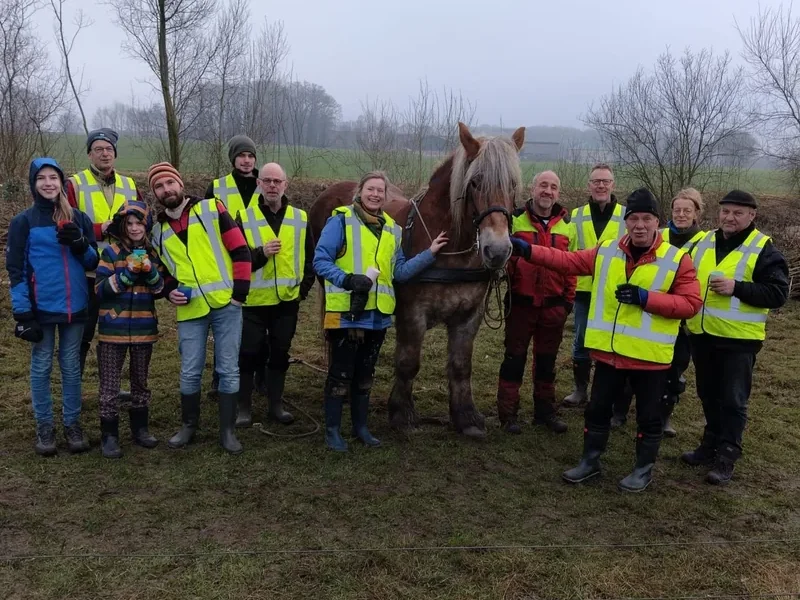 Een paard, een bever en de ooievaars tegemoet