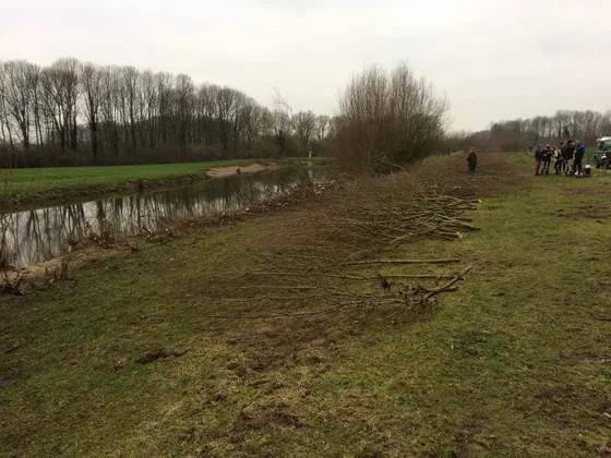 Vrijwilligers